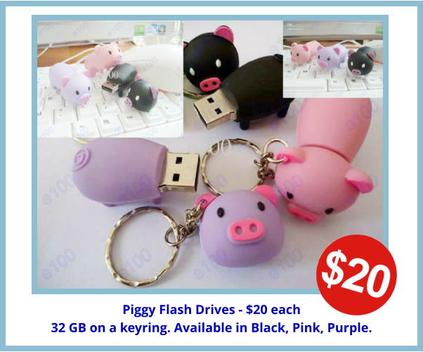Piggy Flash Drives - $20 each 32 GB on a keyring. Available in Black, Pink, Purple.