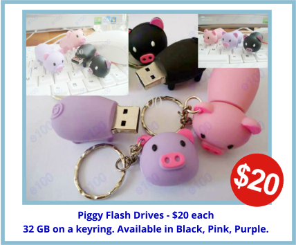 Piggy Flash Drives - $20 each 32 GB on a keyring. Available in Black, Pink, Purple.